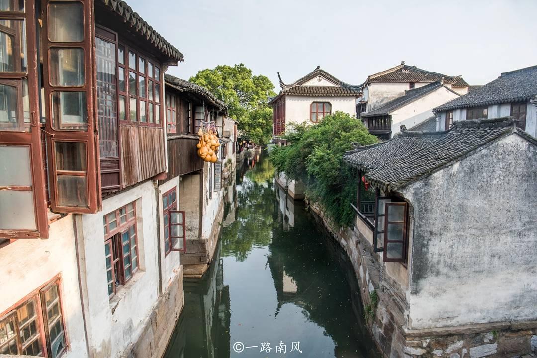 逃离蓝色之林